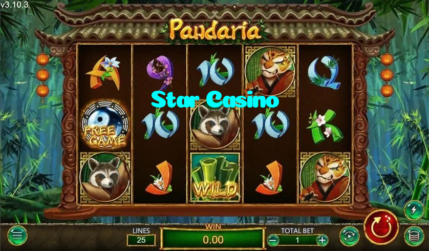 Star Casino casino presented on mobile device in Pakistan with slots and live games